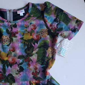 LuLaRoe Amelia 2xl